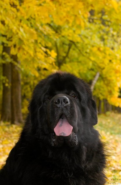 Фотография № 54608