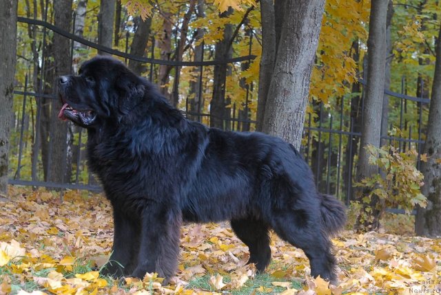 Фотография № 54610