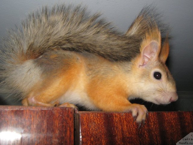 Фото: Dar'ya Gusyinina (Дарья Гусынина)