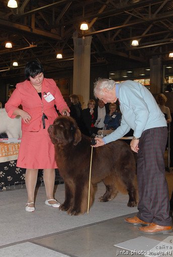 Фотография № 54773