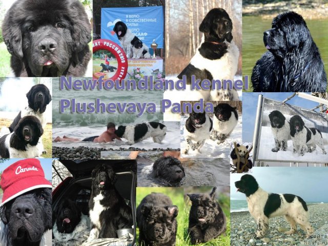 Фото: Iraida Kobzareva (Ираида Кобзарева)