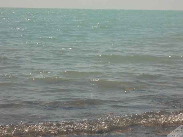 Фотография № 54827