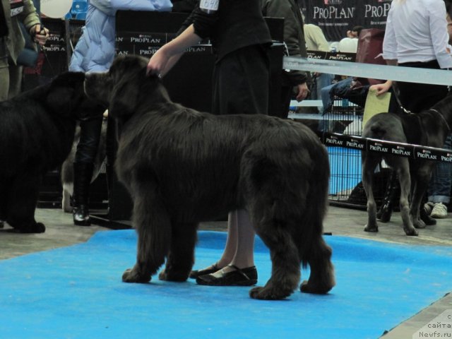 Фотография № 54837