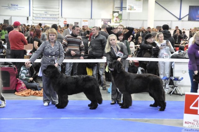 Фотография № 54845