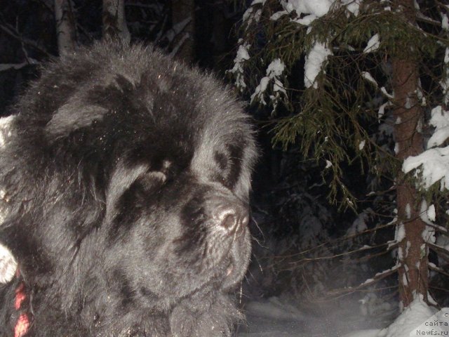 Фотография № 54890