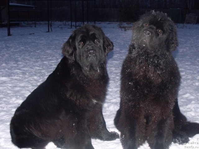 Фотография № 54932