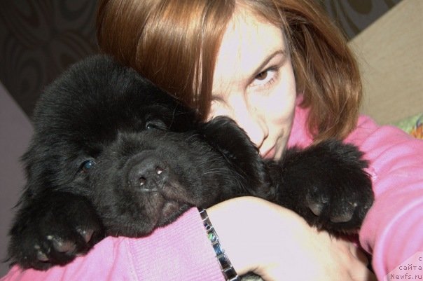 Фото: Акватория Келвин Онли Лав, Aleksandra Vesnina (Александра Веснина)