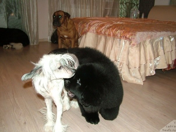 Фотография № 54959