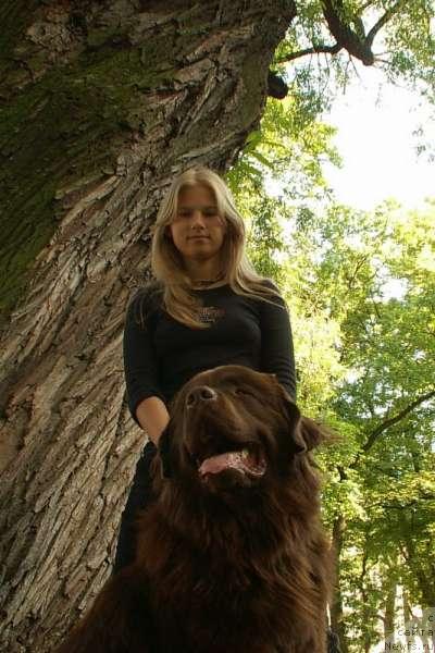 Фото: ньюфаундленд Elisey s Berega Dona (Елисей с Берега Дона)