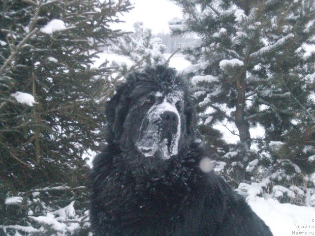 Фотография № 55058