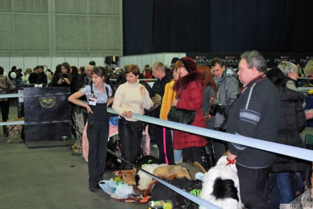 Фотография № 55077