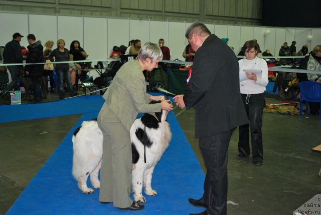 Фотография № 55087