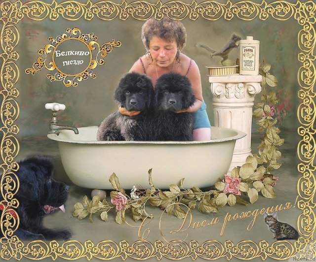 Фотография № 55140