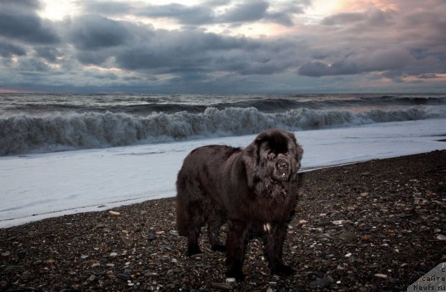 Фотография № 55287