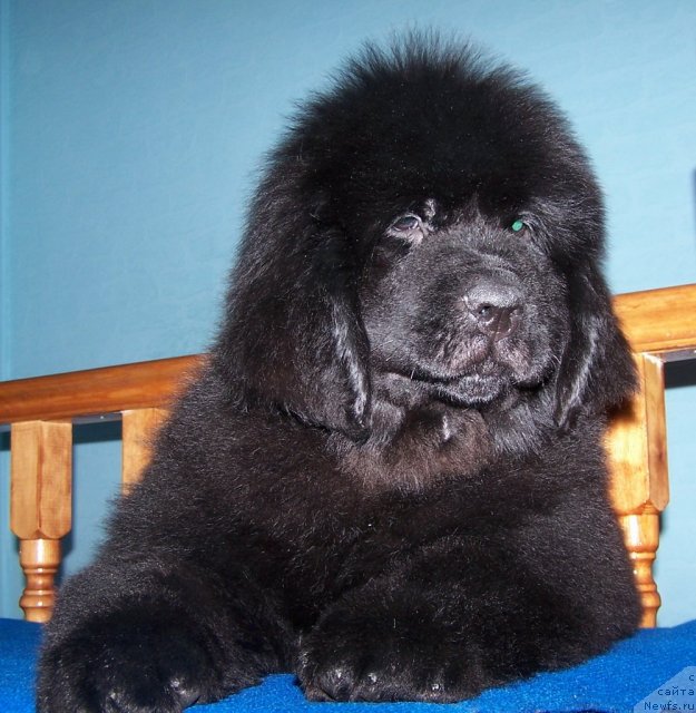 Фото: возраст 2, 5 месяца