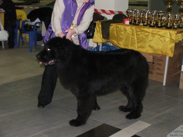 Фотография № 55322