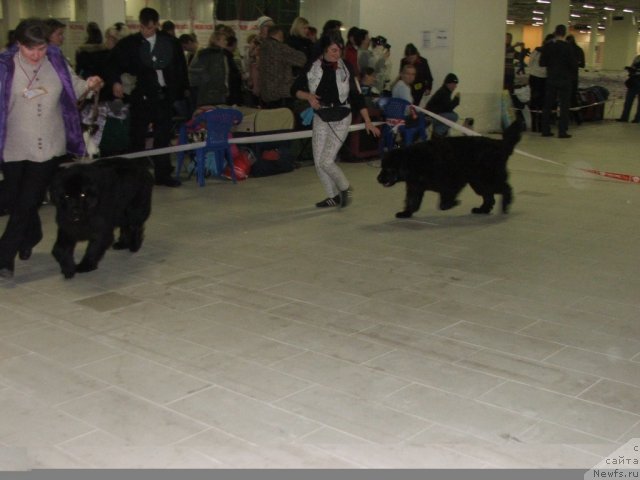 Фотография № 55323