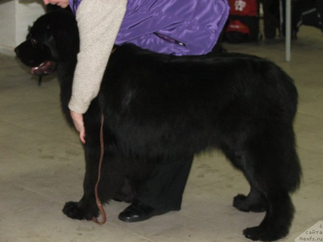 Фотография № 55324