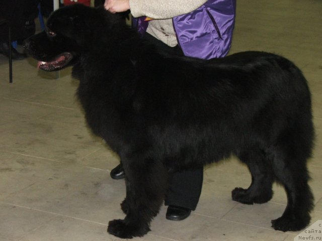 Фотография № 55325