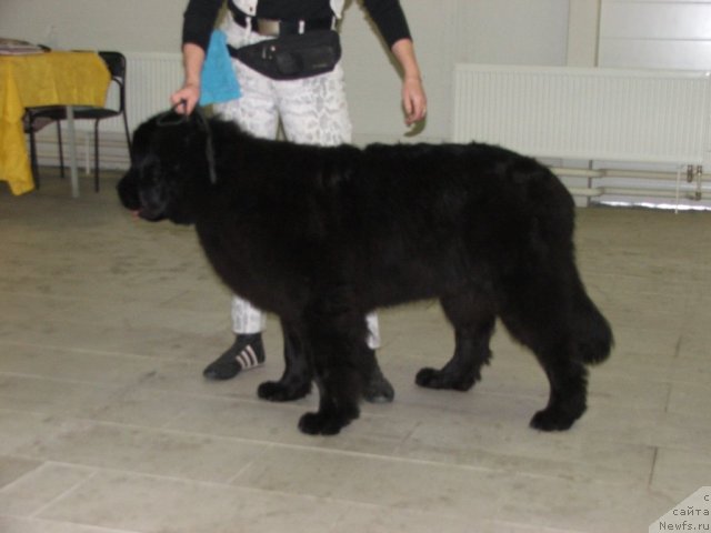 Фотография № 55326