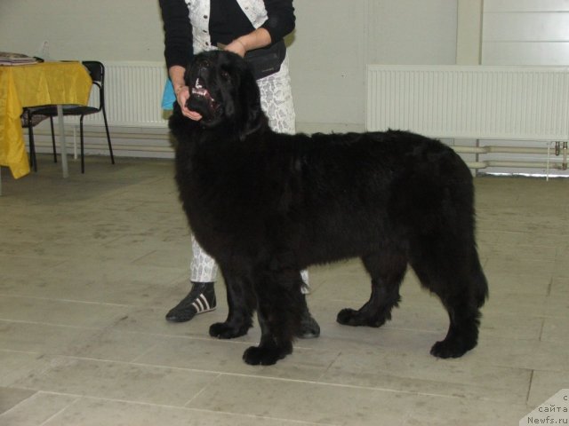 Фотография № 55327