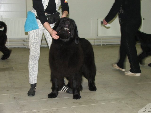 Фотография № 55328