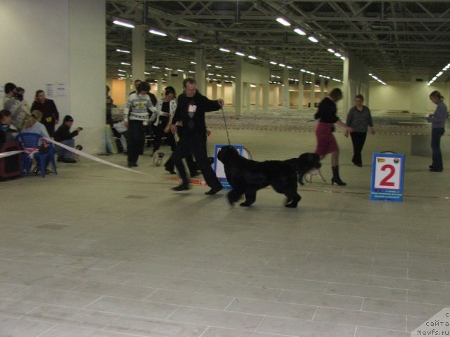 Фотография № 55329