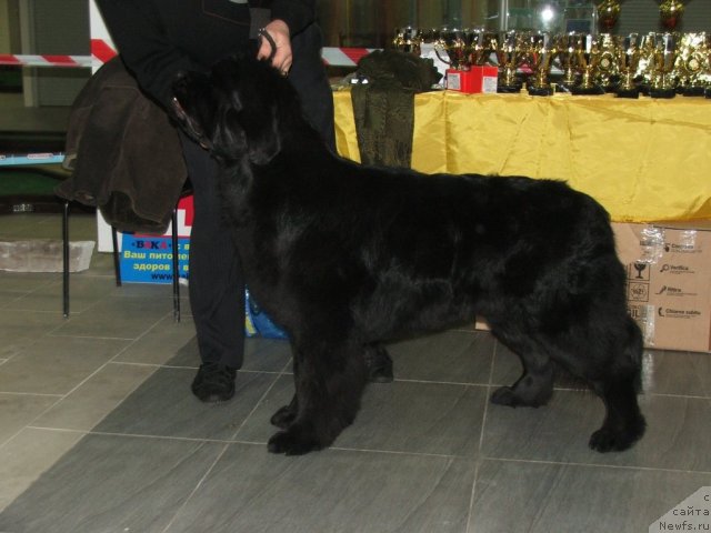 Фотография № 55330