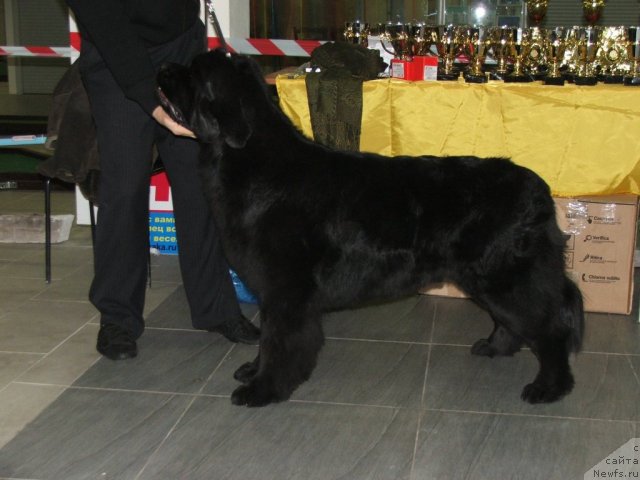 Фотография № 55331