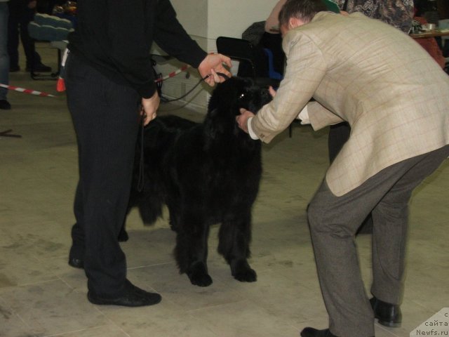 Фотография № 55333