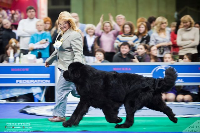 Фотография № 55339