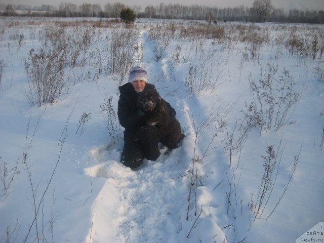 Фото: ньюфаундленд Bagryanaya Osen' iz Arkaima (Багряная Осень из Аркаима)