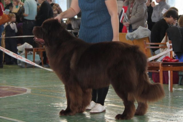 Фотография № 55373