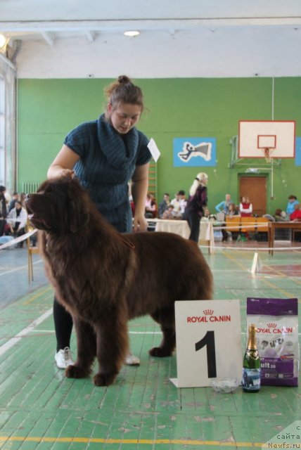 Фотография № 55374