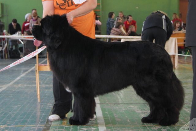 Фотография № 55376