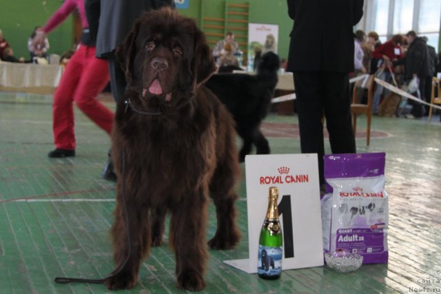 Фотография № 55379