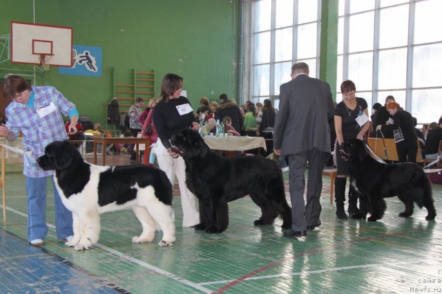 Фотография № 55387