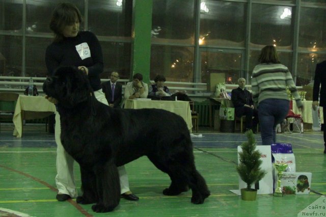 Фотография № 55390