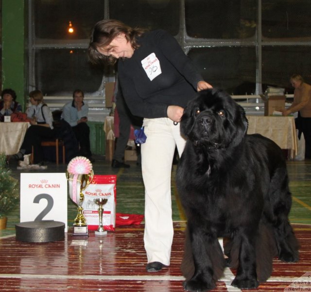 Фотография № 55391