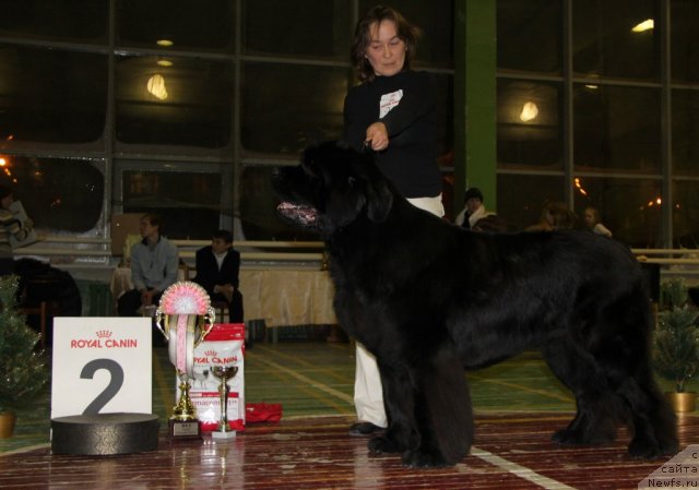 Фотография № 55392