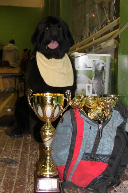 Фотография № 55395