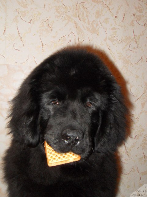 Фотография № 55404