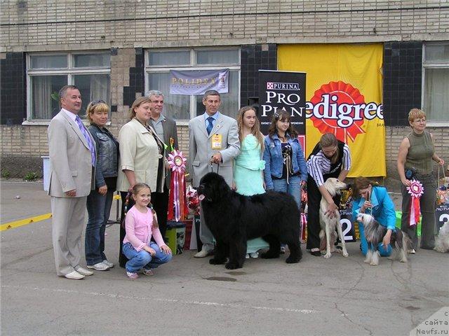 Фото: ньюфаундленд Ego Vysochestvo ot Sibirskogo Medvedja (Его Высочество от Сибирского Медведя), YUriy Rahtienko (Юрий Рахтиенко)
