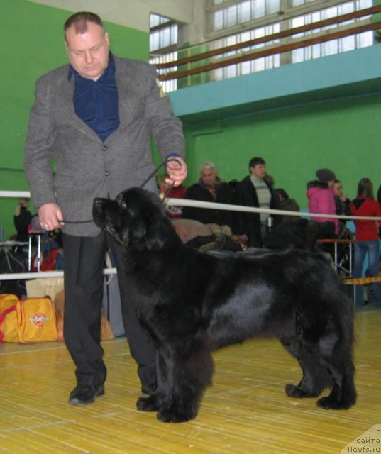 Фотография № 55410