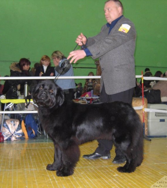 Фотография № 55411