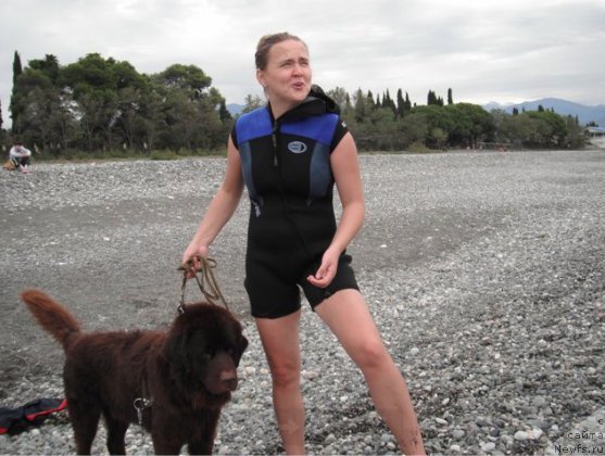 Фото: Diana Larina (Диана Ларина), ньюфаундленд Konfuciy (Конфуций)