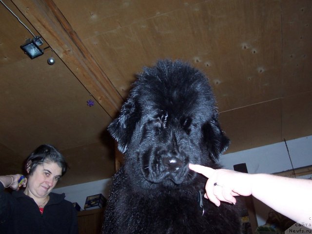 Фотография № 55474