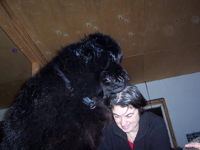 Фотография № 55475