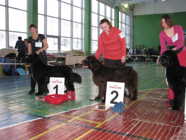 Фотография № 55500