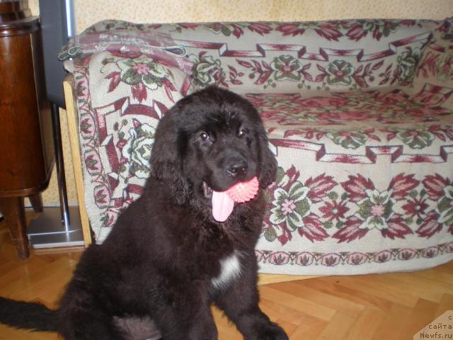 Фото: Dmitriy Fetisov (Дмитрий Фетисов)